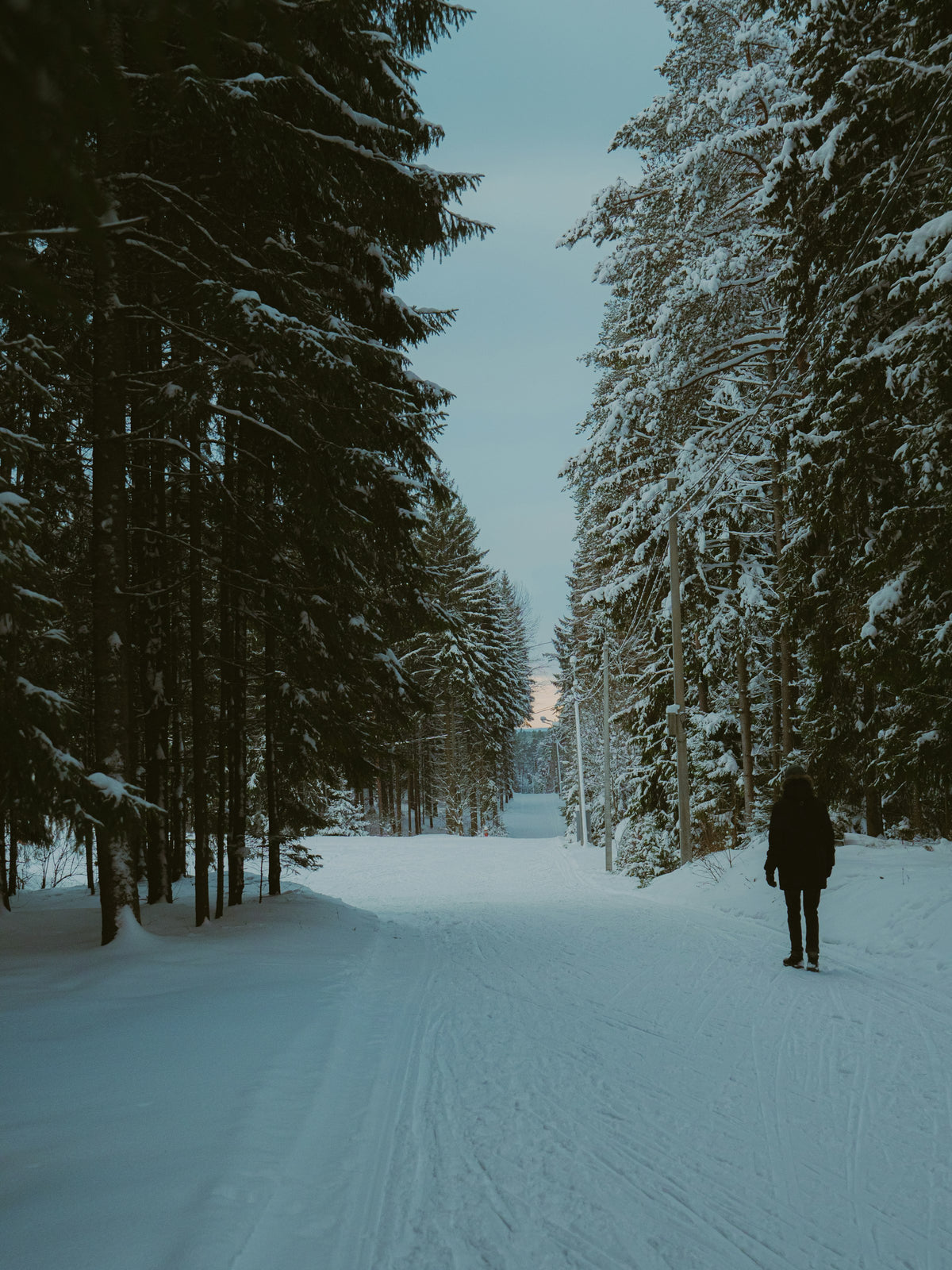 A person walking down a snowy path in a forest